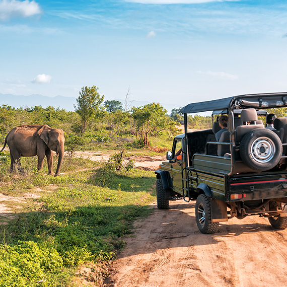 AVENTURE EN AFRIQUE