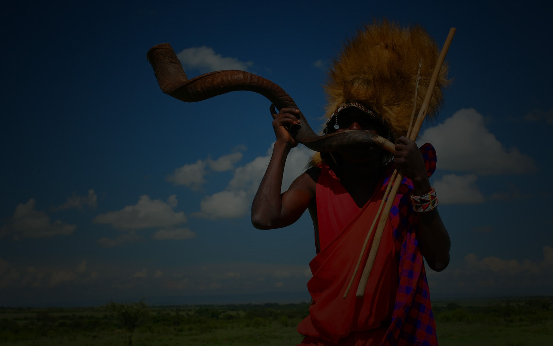 Afrique le berceau de l humanite