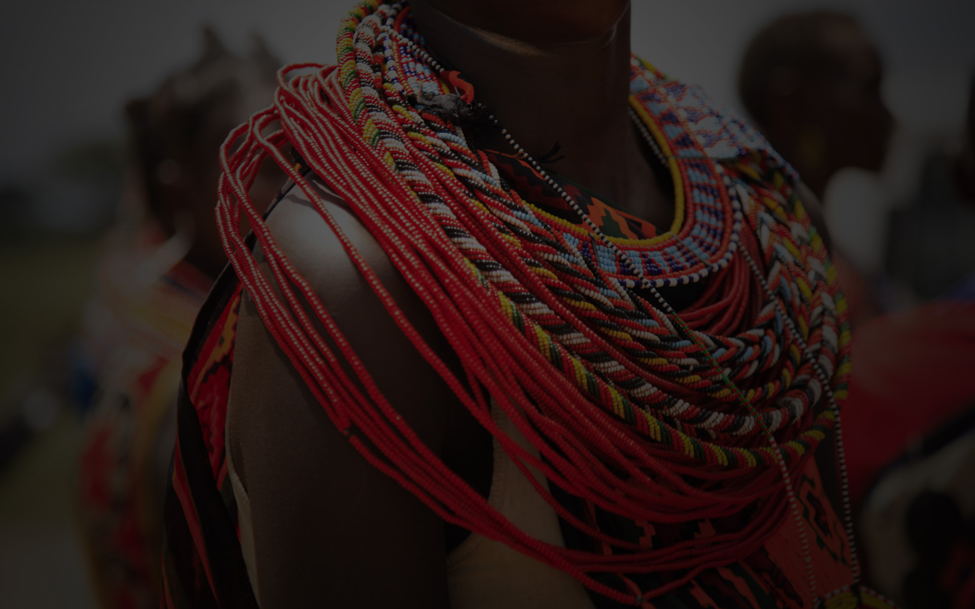 Afrique le berceau de l humanite