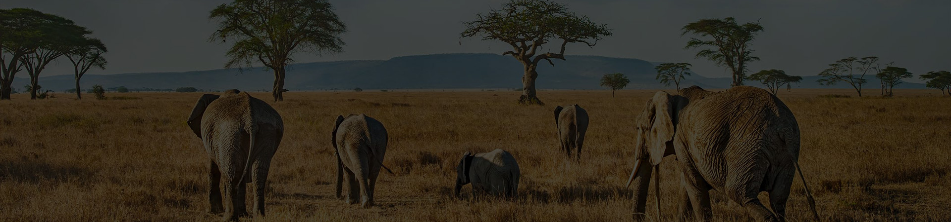 LA FAUNE ET LA FLORE FASCINANTE