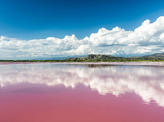 LE LAC RETBA
