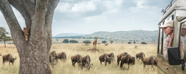 Tanzanie